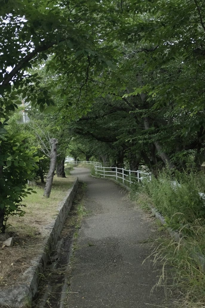 Walk and talk therapy blog