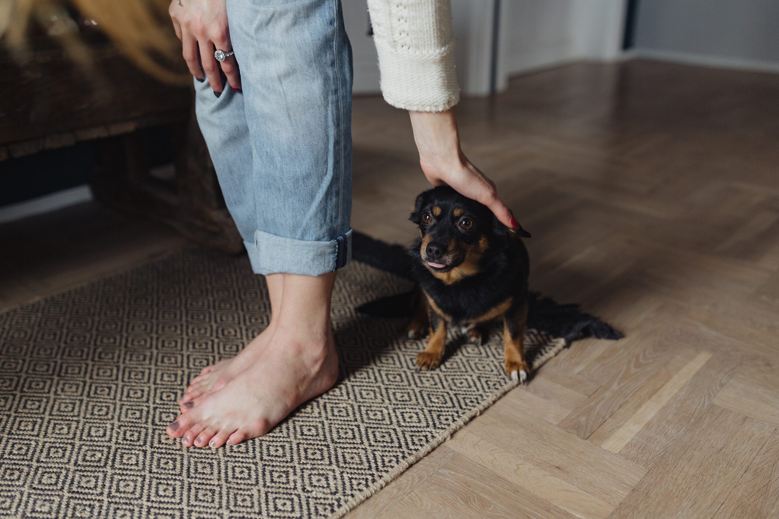 Woman gently bending to pet a small black dog, capturing a quiet moment of mindfulness and connection